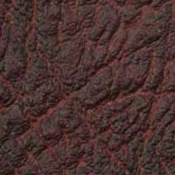 ������� �����������